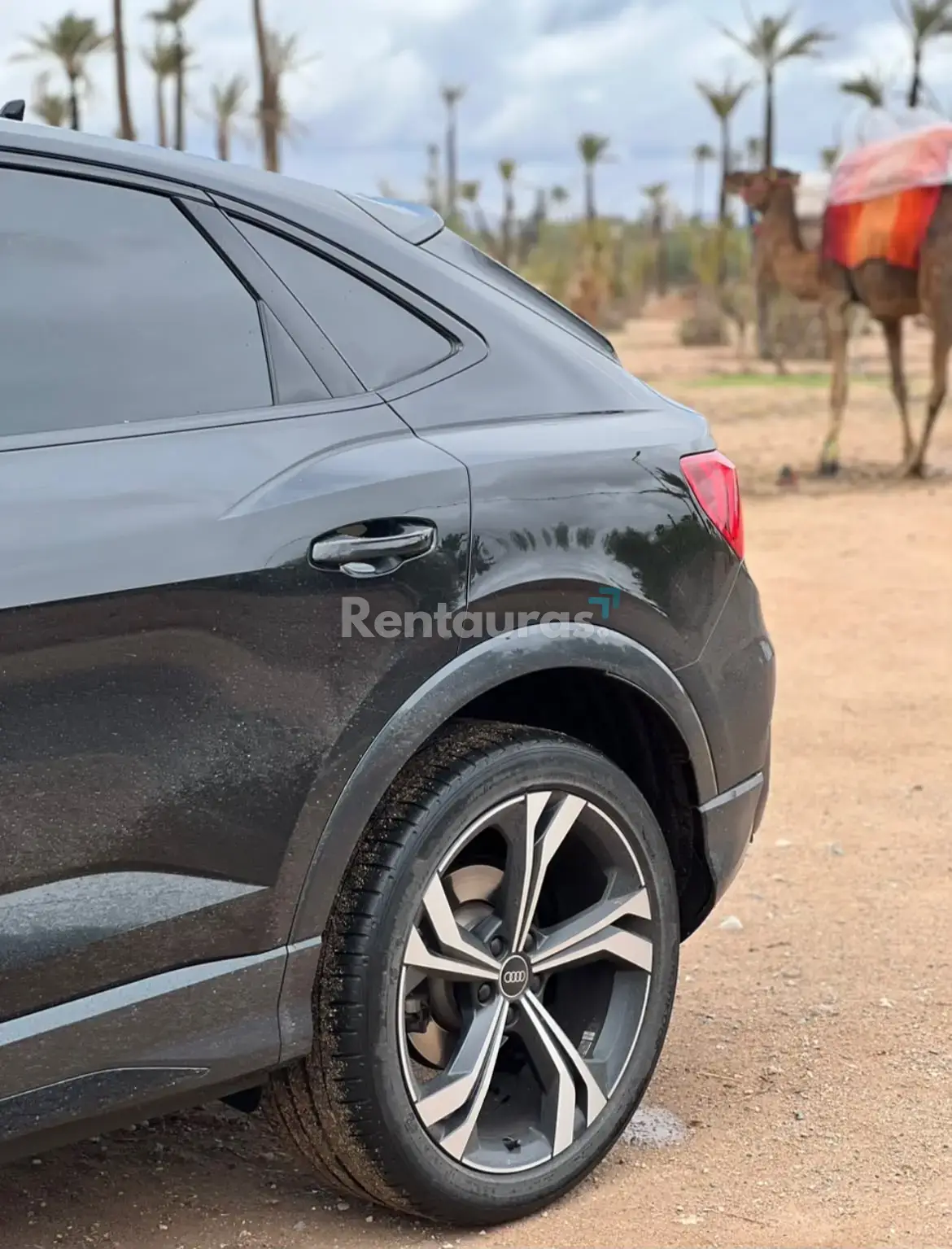Audi Q3 2023 — 2
